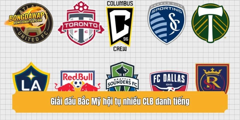 Giải đấu Bắc Mỹ hội tụ nhiều CLB danh tiếng