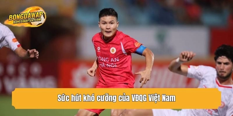 Sức hút khó cưỡng của VĐQG Việt Nam